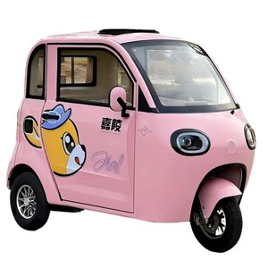 Mini Tricycle <span class=keywords><strong>Électrique</strong></span> Personnalisable à <span class=keywords><strong>3</strong></span> <span class=keywords><strong>Roues</strong></span> de 1000W pour Passagers, Trike Fermé à 2 Portes, Type de Carrosserie Clos - Product Image 1