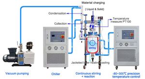 Glass Reactor with High-Quality Glass and PTFE Components for Chemical Resistance - Product Image 6