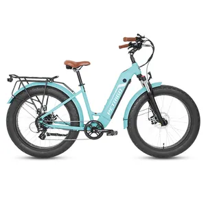 PETRIGO 26 inch Alloy Beach Cruise 500W Fat Bike Electric Bicycle for Women 48v 500w Best Ebike Fat Tire Cruiser