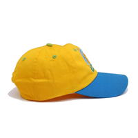 Topi Trucker Polyester Berkualitas Tinggi Bordir Grosir Desain Kustom Dua Warna 6 Panel Topi Pria Model Dad Cap BASEBALL CAP