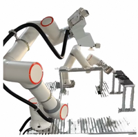 Cobot Colaborativo con Capacidad de Carga de 30 kg, Estructura Articulada de 6 Ejes, Programación Rápida con PLC, Robot Industrial de Alta Precisión, Aluminio 12