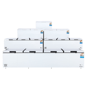 Tủ đông năng lượng mặt trời 315L, tủ đông DC, tủ lạnh năng lượng mặt trời với tính năng ngăn đá, thiết bị làm lạnh - Product Image 1