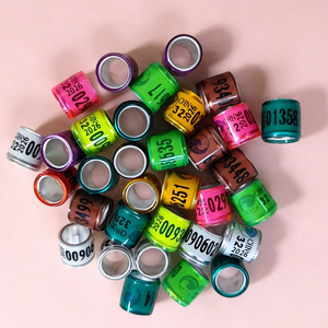 2025 Hoge Kwaliteit Klassieke Gepersonaliseerde Aangepaste Herbruikbare Renring voor Duiven van Plastic met Naam voor Buitengebruik - Product Image 1