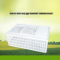 Caisse de Transport en Plastique pour Volaille, Poulets, Canards, Oies, Pigeons, Blanc Orange Jaune