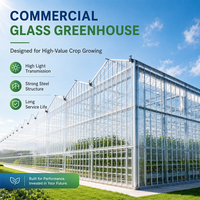 Serre agricole en verre professionnelle multi-travées à structure Venlo pour la culture intelligente de tomates avec fertilisation intégrée