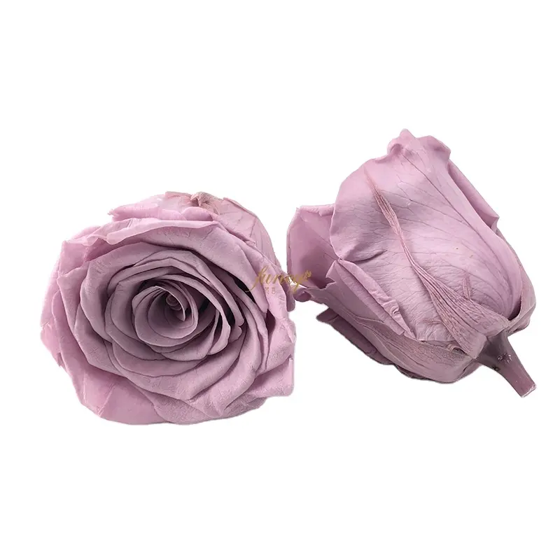 2021 Großhandel für immer Rose dekorative Blumen künstliches Florist Material Home Decor Unsterbliche konservierte Rosen