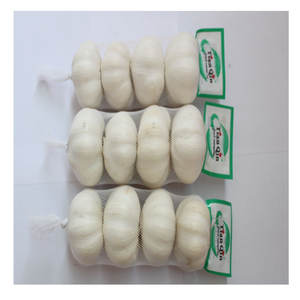 Prix d'usine <span class=keywords><strong>Ail</strong></span> frais chinois <span class=keywords><strong>Éléphant</strong></span> <span class=keywords><strong>Ail</strong></span> blanc pur - Product Image 6