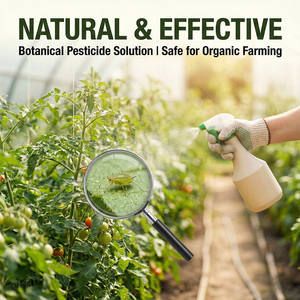 Extrato em Pó de Raiz de Sophora Flavescens Natural de Alta Pureza, Extração por Solvente, Grau Alimentício, Matrina Oximatrina 1%-<span class=keywords><strong>10</strong></span>% 1kg - Product Image 3