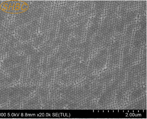 Perlas Magnéticas Epoxi Monodispersas de Tamaño de Partícula Uniforme para Inmunoprecipitación e Investigación de Laboratorio - Product Image 2