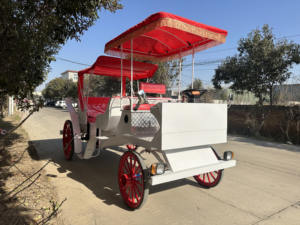 Vehículo Eléctrico de Lujo Estilo Victoriano Real para Turismo, Parques Ecuestres y Atracciones - Product Image 5