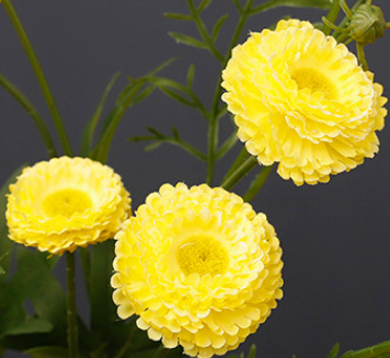 สีเหลือง