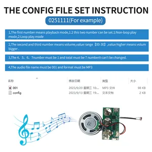 Costom programmabile 16M USB sensore di luce registrabile musica modulo vocale Chip Audio per il biglietto di auguri Audio e regalo