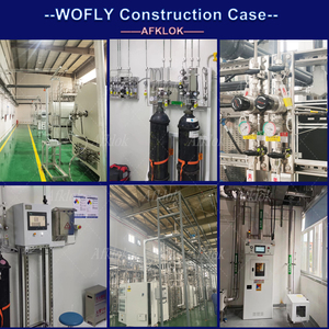 Regolatore di pressione monostadio per azoto elio 600psi ingresso/160psi sbocco in acciaio inox 316L regolabile per propano Argon - Product Image 6