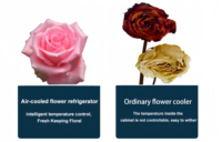 Réfrigérateur de présentation de fleurs, vitrine réfrigérée, congélateur en verre, réfrigérateurs verticaux pour fleurs