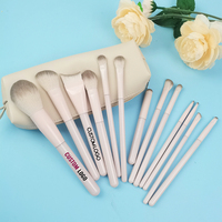 Ensemble de 13 pinceaux de maquillage de haute qualité avec manche en plastique, poils en nylon doux pour fard à paupières et eye-liner, prix abordable pour le maquillage du visage et des yeux