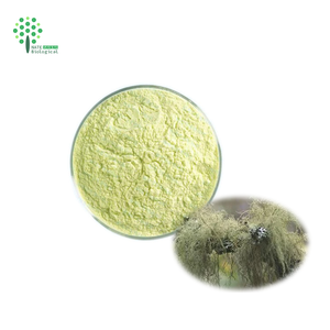 Yüksek kaliteli % 98% doğal Usnic asit liken Usnea özü tozu - Product Image 1