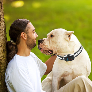 Verkäufer Elektronische Wiederaufladbare Hund Ausbildung Rinde Kragen Vibration Kein Schlag Bellen Hund <span class=keywords><strong>Alarm</strong></span> Anti Rinde Kragen - Product Image 6