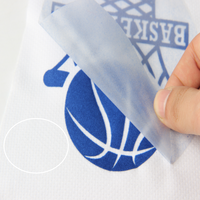 Vinyle Flocage Thermocollant en Rouleaux pour Vêtements et Maillots