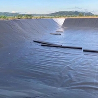 Membrane géotextile imperméable en PVC/LDPE/LLDPE/HDPE pour bassin préformé rigide, anti-corrosion, garantie 5 ans et plus pour la construction