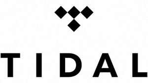 เพลงคลื่นระดับพรีเมียม12เดือนการสมัครใช้งานคลื่น Tidal HIFI PLUS 1ปี - Product Image 3