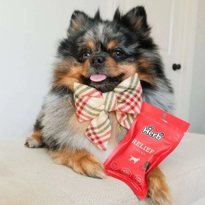 Complément Nutritionnel pour Animaux de Compagnie sous Marque Privée OEM/ODM – Friandises Tendres pour Chiens, Soutien à la Santé et Vitamines pour Chiens - Product Image 5