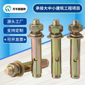 Wanqian Fasteners Galvanized Carbon Steel Expansion Bolts M6 M16 Hex Head Color Zinc Coated Grade A Level 4.8 Standard GBT 22795 - Product Image 3