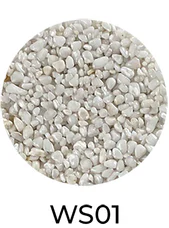 WS01
