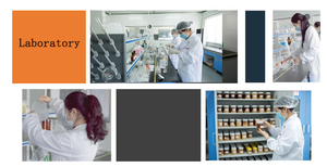 Miel de Flores Variadas de Alta Calidad al por Mayor de Fábrica BEESTAR, Producto Apícola Crudo, Venta a Granel, Miel Pura Natural de Múltiples Flores de China - Product Image 5