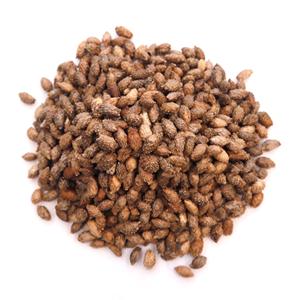 Venta al por mayor OEM/ODM suministro de Venta caliente puro natural a granel orgánico xanthium aceite <span class=keywords><strong>Francia</strong></span> aceite para coche Perfume cuidado de la piel masaje Facial - Product Image 4
