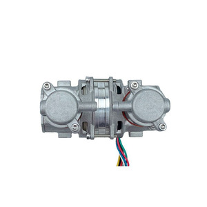12V <span class=keywords><strong>DC</strong></span> điện Piston Máy nén khí bơm hai xi lanh dầu miễn phí máy bơm không khí cho xe hơi và y tế sử dụng - Product Image 3