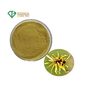 고품질 15% tannis 마녀 개암 추출물 Hamamelis virginiana 추출물 분말