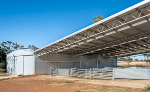 Matériaux de construction en métal pour le bétail Conception de ferme légère pour bétail Mouton Vache Chèvre Granges ASTM Standard Soudage Coupe Inclus - Product Image 3