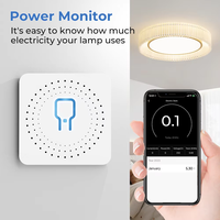 Module d'interrupteur intelligent WiFi Tuya 16A, application Smart Life, minuterie, télécommande, commande vocale, compatible avec Alexa Google Home
