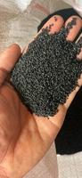 Graines de basilic noir biologique en vrac de haute qualité et à prix compétitif 99 GOLD DATA WS 0084587176063
