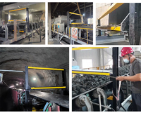 Detectores de Metales Industriales de Corriente Eddy, Impermeables IP68, para Protección de Transportadores en Canteras de Piedra y Minas de Carbón