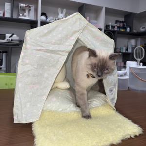 Cama de Alta Calidad Estilo Japonés para Gatos y Perros, Fácil de Montar, de Tela de Algodón Estampada, Plegable, de Plástico - Product Image 2