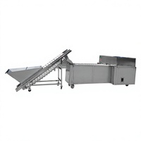 Nieuwe fruit- en groenteverwerkingsmachine 4,2 kW automatische snijmachine met PLC-besturing, hoge capaciteit, gemotoriseerd