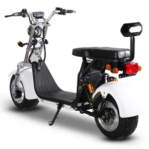 Destek çift 20AH elektrikli motosiklet citycoco 2 tekerlek 1500w yetişkin elektrik motorlu scooter 2000W elektronik bisiklet