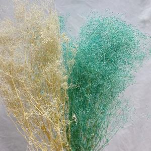 2026 nuovi arrivano fiori di alta qualità milioni di stelle per la decorazione di nozze a casa conservati milioni di stelle per la <span class=keywords><strong>Flora</strong></span> - Product Image 3
