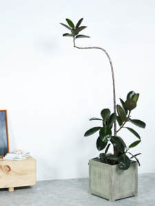 <span class=keywords><strong>Maceta</strong></span> Cuadrada Extra <span class=keywords><strong>Grande</strong></span> de Cemento y Magnesio, Estilo Wabi-Sabi Minimalista, para Plantas Verdes - Product Image 2