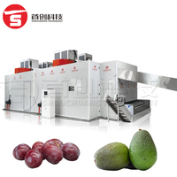 Doorlopende Transportband Gaasband Type Fruitdroger Machine Gedroogde Guave Pruimen Palm Dadelfruit Drogen Productielijn