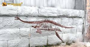 MY Dino Créature préhistorique océanique Squelette <span class=keywords><strong>de</strong></span> plésiosaure suspendu grandeur nature - Product Image 4