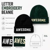 Bonnet tricoté personnalisé uni brodé avec revers, style streetwear, chaud pour l'hiver