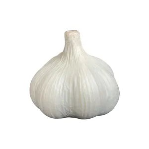 Hot Sale 6.0cm 10 KG/CTN mesh bag small 250G Ffresh Pure White Garlic