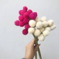 Grosir Bunga Buah Stroberi Kering Awet Bunga untuk Dekorasi Rumah/Pernikahan Bunga