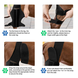 Attelle de genou pour chien de compagnie pour ACL déchiré jambe arrière sangles de chat réglables protecteur de blessure chien genouillère soutien pour jambe arrière et avant - Product Image 3