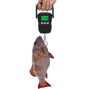 हॉट सेलिंग 110lb 50kg इलेक्ट्रॉनिक हैंडल हैंग वजन मापने वाले टेप सामान पैमाने पर मछली पकड़ने का पैमाना हुक के साथ डिजिटल - Product Image 2
