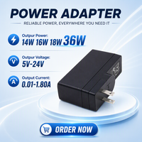 Adaptateur secteur personnalisé 14W 16W 18W 36W 5V 12V 1A, niveau d'efficacité énergétique VI, alimentation médicale AC-DC avec prise fixe en option
