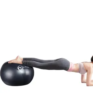 ZHEN SHENG Yoga Ball Harmony Style Gymnastik ball PVC Anti Burst Yoga Pilates Ball