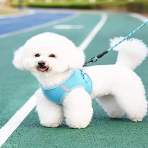 Harnais de style gilet pour petits chiens, sangle de poitrine respirante avec laisse pour chiots Bichon Frise Teddy Pomeranian - Product Image 1